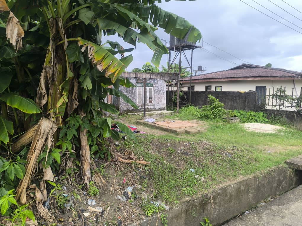 ALMOST 2PLOTS OF LAND WITH FENCE ON BOTH SIDES FOR SALE